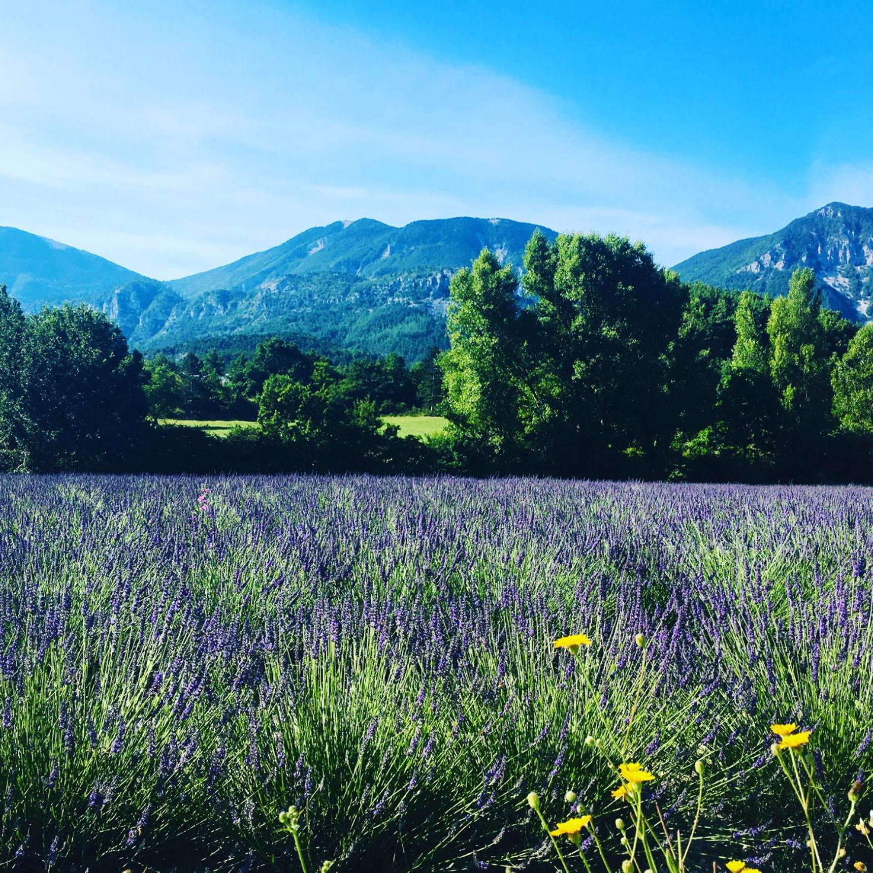 Le Moulin De La Viorne, Gite Avec Piscine Au Coeur De La Nature En Haute-Provence Les Omergues Bagian luar foto