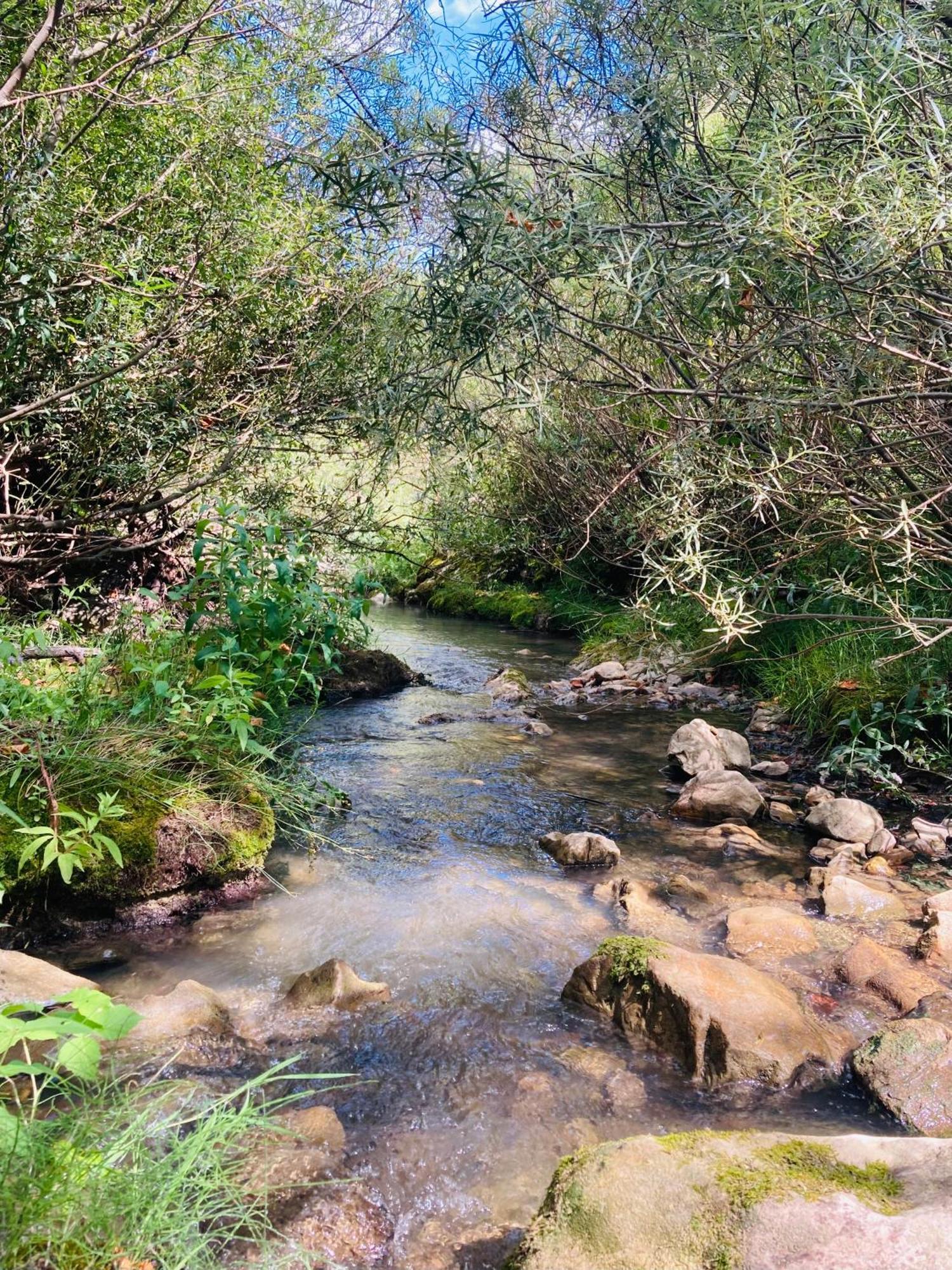 Le Moulin De La Viorne, Gite Avec Piscine Au Coeur De La Nature En Haute-Provence Les Omergues Bagian luar foto